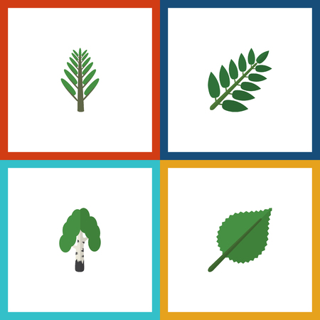 Flat Icon Nature Set Of Linden, Timber, Jungle And Other Vector Objects. Also Includes Leaf, Acacia, Birch Elements.のイラスト素材