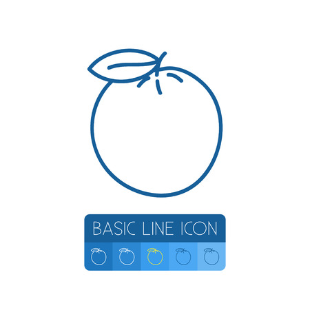 Isolated Orange Outline. Mandarin Vector Element Can Be Used For Mandarins, Orange, Citrus Design Concept.のイラスト素材