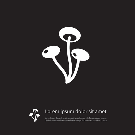 Boletus Vector Element Can Be Used For Champignon, Mushroom, Darner Design Concept.  Isolated Champignon Icon.のイラスト素材