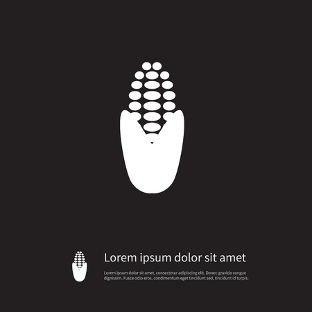 Isolated Maize Icon. Corny  Vector Element Can Be Used For Maize, Corn, Corny Design Concept.のイラスト素材