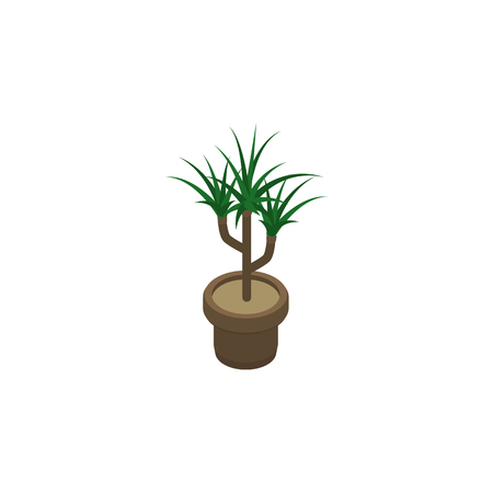 Houseplant Vector Element Can Be Used For Plant, Flowerpot, Botany Design Concept.  Isolated Plant Isometric.のイラスト素材