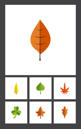 Flat Icon Foliage Set Of Aspen, Leaf, Hickory And Other Vector Objects. Also Includes Alder, Hickory, Foliage Elements.のイラスト素材