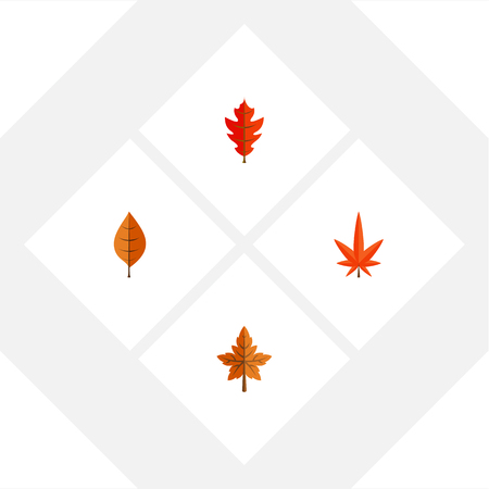 Flat Icon Maple Set Of Aspen, Frond, Foliage And Other Vector Objectsのイラスト素材