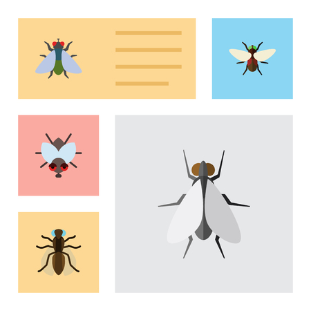 Flat Icon Housefly Set Of Fly, Bluebottle, Mosquito And Other Vector Objects. Also Includes Dung, Gnat, Mosquito Elements.のイラスト素材