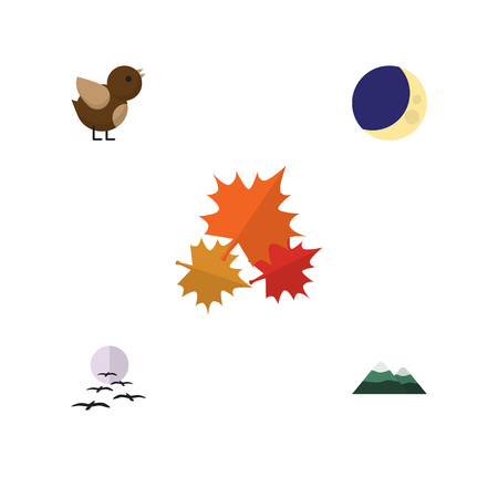 Flat Icon Natural Set Of Bird, Peak, Canadian And Other Vector Objects. Also Includes Midnight, Mountain, Pinnacle Elements.のイラスト素材