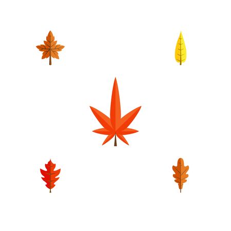 Flat Icon Foliage Set Of Aspen, Alder, Frond And Other Vector Objects. Also Includes Alder, Leaf, Oaken Elements.のイラスト素材