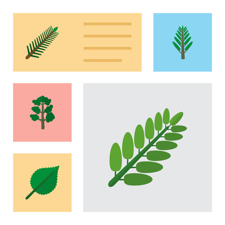 Icon flat ecology set of acacia leaf, wood, willow and other vector objects.のイラスト素材