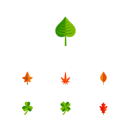 Icon flat leaves set of foliage, leaf, alder and other vector objects. Also includes leaf, foliage, hickory elements.のイラスト素材