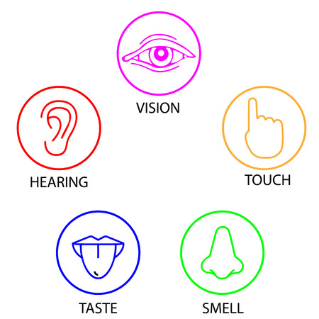 set of five human senses. Vision, hearing, touch, taste, smell iconのイラスト素材