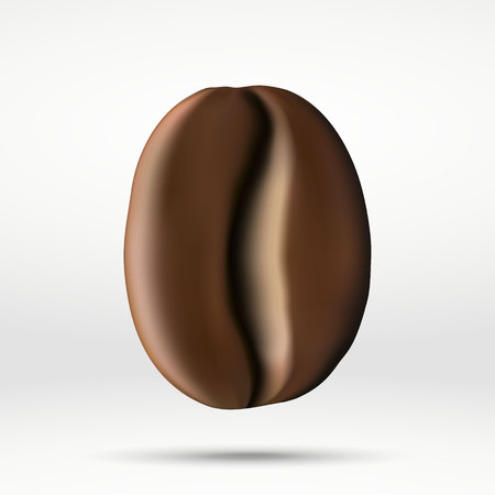 Realistic coffee bean isolated in white background.のイラスト素材