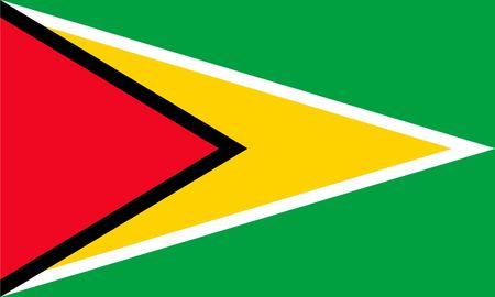 Simple flag of Guyana. Correct size, proportion, colors.