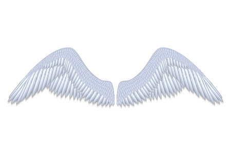 realistic white angel wings isolatedのイラスト素材
