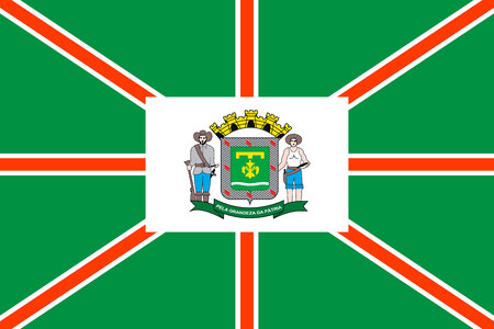 Simple flag of Goiania. City of Brazil. Correct size, proportion, colorsのイラスト素材