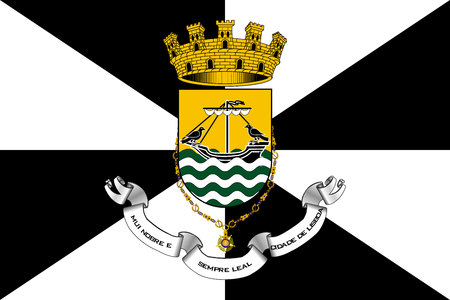 Simple flag of Lisbon. Correct size, proportion colorsのイラスト素材