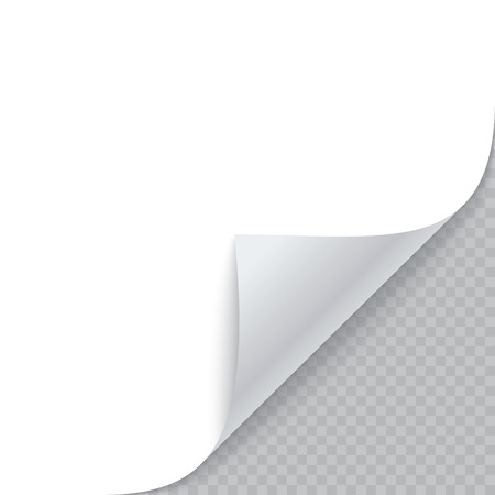 Curled corner of paper with shadow. Vector illustrationのイラスト素材