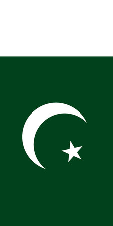 Hanging vertical flag of Pakistanのイラスト素材