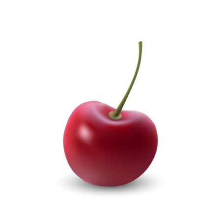 realistic Ripe red cherry berriy. Vector illustrationのイラスト素材