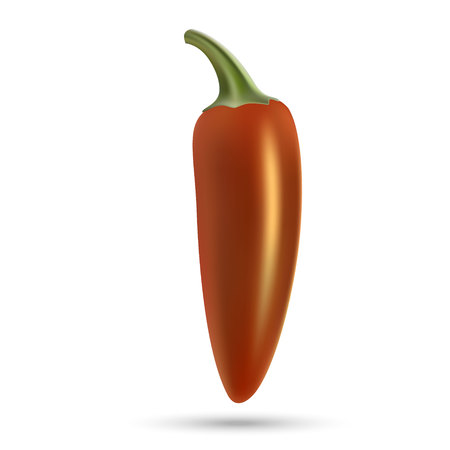 realistic red hot natural chili pepper, isolated image with shadow vector illustrationのイラスト素材