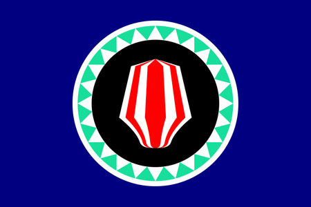 Simple flag of Bougainville. Correct size, proportion, colorsのイラスト素材