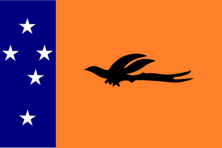 Simple flag of New Ireland. Correct size, proportion, colorsのイラスト素材