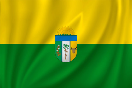 Flag of Vichada waving in the wind on silk background. Department Colombiaのイラスト素材