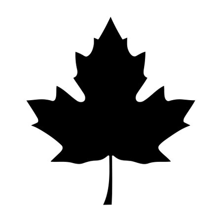 Maple leaf silhouette logo isolated on white background, vector iconのイラスト素材