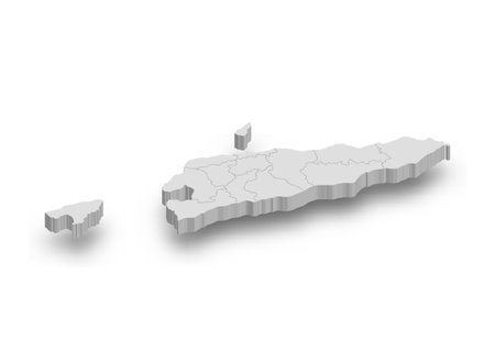 3d East Timor white map with regions isolated on white backgroundのイラスト素材