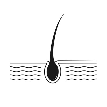 Minimal black illustration of a single hair follicle, representing hair growth, dermatology, and healthのイラスト素材