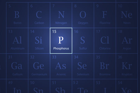 Phosphorus highlighted element in periodic table with glowing effectのイラスト素材