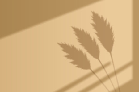 Gentle silhouette of pampas grass in sunlight on minimal warm backgroundのイラスト素材