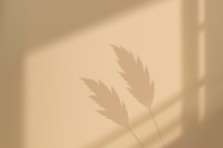Silhouette of fluffy grass stems under warm daylight on soft neutral background