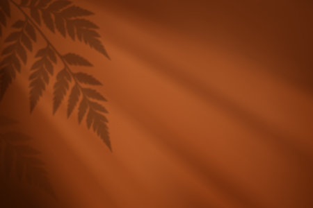 Abstract foliage silhouettes under directional light on terracotta toned backdropのイラスト素材