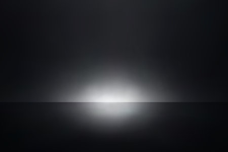 Dim white light glows subtly across smooth black reflective surfaceのイラスト素材