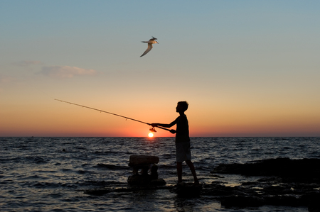The person fishes  A sea landscape  The beautiful evening sky  The seagull flies の写真素材