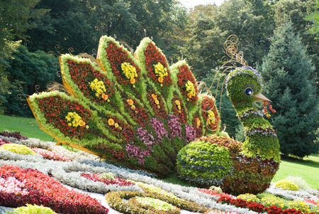 Fantastic bird  made of flowers   Ukraine, Kiev, Singing field の写真素材