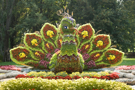 Fantastic bird  made of flowers   Ukraine, Kiev, Singing field の写真素材