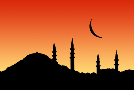 Turkey  Evening, a silhouette of a mosque の写真素材
