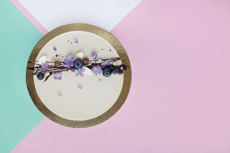 vegan healthy dessert on abstract colorful background. Raw cake decorated with blueberries,...