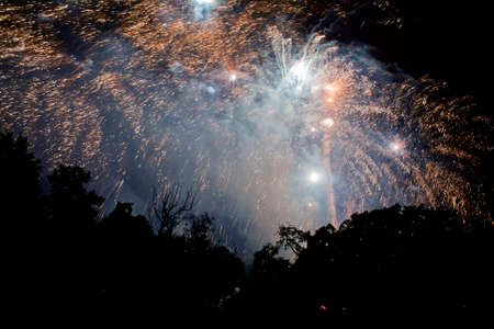 fireworks at night in the sky,