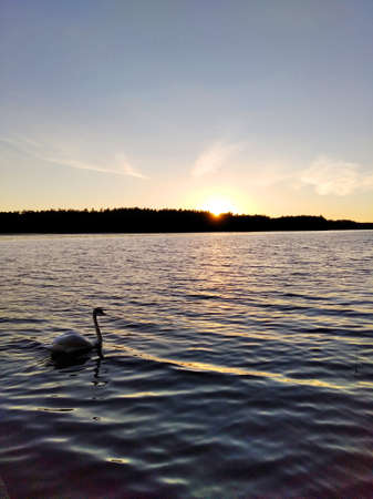 Sunset on the Swietajno lakeの写真素材
