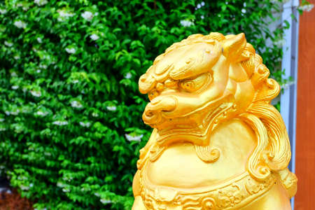 Chinese lucky lion statueの写真素材