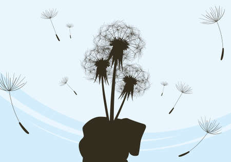 Bouquet of dandelions in hand  Wind  Easeのイラスト素材