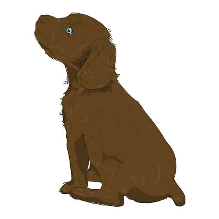 Little puppy on a white background. Vector illustration of a dog in the style of drawingのイラスト素材