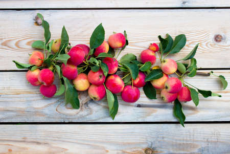 Autumn harvest of apples. Red apples on a wooden background. Healthy eatingの写真素材