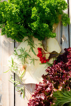 Fresh lettuce and parsley on a wooden backgroundの写真素材