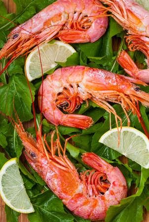 Prawns with lemonの写真素材