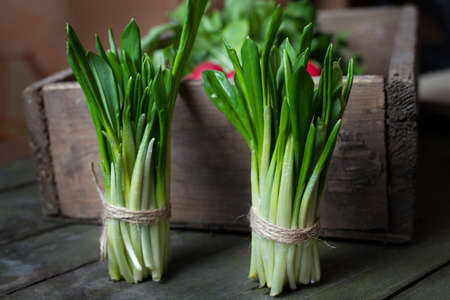 Crop of fresh ramson leaves spring natural herbs rustic style on vintage wooden table backgroundの写真素材