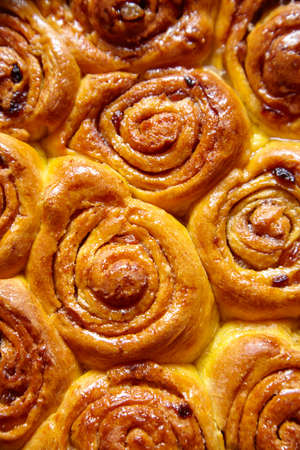 Pumpkin cinnamon dough bun rolls traditional Danish baked vegan sweet autumn cake holiday dessert swirl bread food close up textureの写真素材