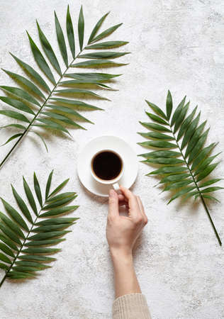 Coffee and palm branches. A female hand holds a cup of black espresso on a white concrete background. Rest in warm countries concept. Flat lay drink composition.の写真素材