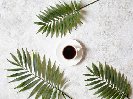 Cup of black espresso on a white creative concrete background. Coffee and palm branches. Rest in warm tropical countries concept. Flat lay drink composition.の写真素材